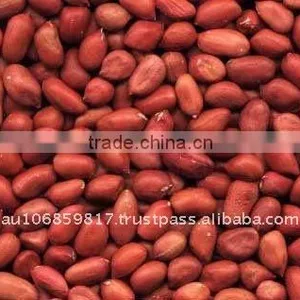 PEANUT BLANCHED PEANUT KERNEL thumbnail-1
