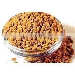FENUGREEK SEEDS thumbnail-1