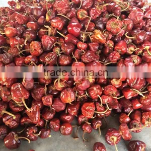Dry Round Red Chilli From India thumbnail-4