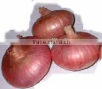 Types Red Onions,fresh Red Onion thumbnail-5