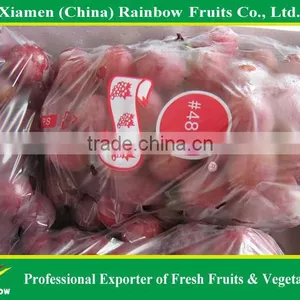 Fresh Red Sweet Seeded Grape Fruit Export From China thumbnail-2