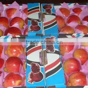 17 Ton / Container Of Fresh Pomegranates thumbnail-5