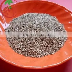 High Quality Goji Berry Seeds for Growing Plants thumbnail-1