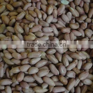 PEANUT KERNELS thumbnail-1