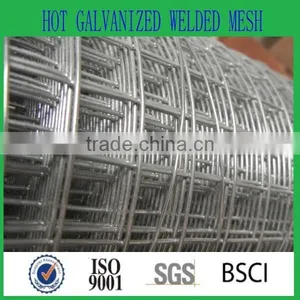 China 10 Gauge Galvanized Welded Wire Mesh Buy thumbnail-2