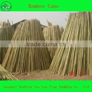 Raw Pole Fabric Bamboo thumbnail-1