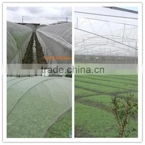 16*16 Good Quality Plastic Insect Net thumbnail-3