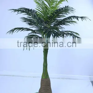 SJ12001163 Top Selling Palm Tree/mini Palme Plant Craft thumbnail-4