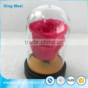Transparent Clear Acrylic Flowers Box World Globe Dome thumbnail-1
