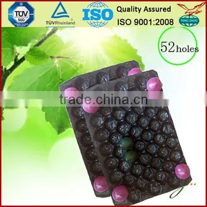 Canada Popular Wholesale Greenhouse Agriculture Products Packaging Plastic Tomato Tray thumbnail-6