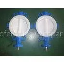 OEM Custom Full PTFE Coated Wafer Butterfly Valve For Phosphoric Acid, Alkali Chlor thumbnail-1