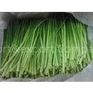 Green BRC IQF Frozen Root Vegetables With 18 Months Shelf Life thumbnail-1