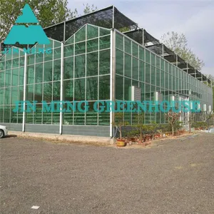 40kg/m² Glass Greenhouse Tomato / Lettuce Easily Assembly thumbnail-1