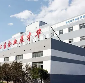 Baoding Huayue Rubber Belts Co., Ltd. company overview - view 1 thumbnail