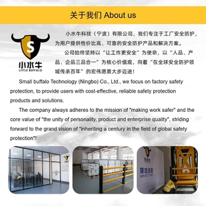 Little Buffalo Technology (Ningbo) Co., LTD company overview - view 4 thumbnail