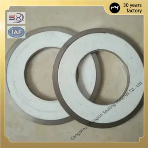 Special Outer Ring Metal Spiral Wound Sealing Gasket for Heat Exchangers thumbnail-5