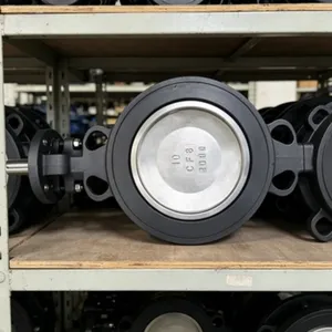 316 Stainless Steel Marine Wafer Duo-Eccentric Butterfly Valve, No Actuator thumbnail-4