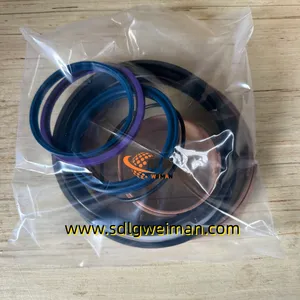 Original SDLG 4120002263101 SEAL KIT For LG936L LG956L Wheel Loader Spare Parts thumbnail-1