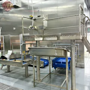 Hydraulic Cattle Stunning Box Carcass Splitting Saw Automatic Cow Hide Skinner Removal Machine Slaughterhouse Rail System thumbnail-1