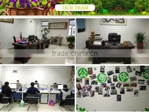 Fujian Anxi Walden Crafts Co., Ltd. company overview - view 2 thumbnail