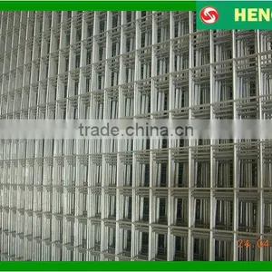 668 Welded Wire Mesh Panel Seedbed Mesh thumbnail-1