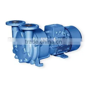 2SK/2BV/2BE Water Ring Vacuum Pump thumbnail-1