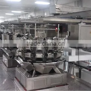 Fast Back Horizontal Motion Conveyor Design for Potato Chips Conveying thumbnail-3