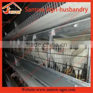 Stable Steel Structure Professional Chicken Egg Layer Cage Chicken Egg Layer House thumbnail-6