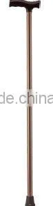 Walking Stick thumbnail-1