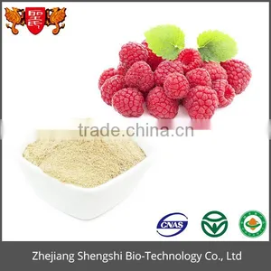 High Quality Natural Plant Berry Extract Bilberry Extract Powder thumbnail-1