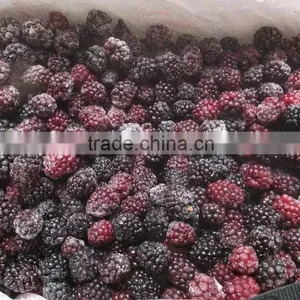 IQF Blackberry With Good Quality for Sale thumbnail-2
