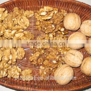 Supply Good Quality Walnut Kernel Light Amber Halves thumbnail-4
