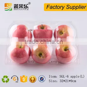 6 Loaded Clear Plastic Packing Box for Orange/apple thumbnail-1