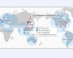 Shijiazhuang Hongmeida Co., Ltd. company overview - view 1 thumbnail