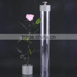 2016 Yiwu Aimee Wholesale Fresh Colorful Preserved Flower(AM-PF08) thumbnail-4