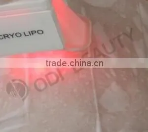 OD-C100 OEM Body Weight Loss Fat Freezing Belly Fat Loss Slimming Equipment thumbnail-5