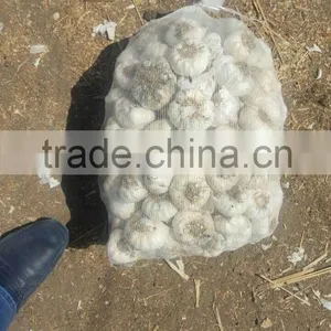 New Garlic Pure White Garlic thumbnail-5