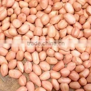 PEANUTS KERNEL JAVA thumbnail-1