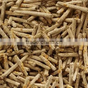 Corn Cob thumbnail-1