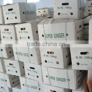 Chinese Ginger thumbnail-1