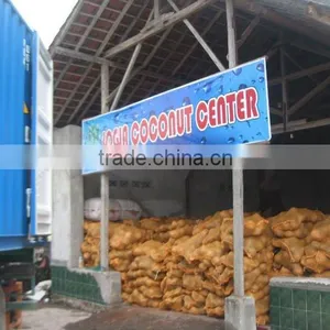 Fresh Coconut thumbnail-1