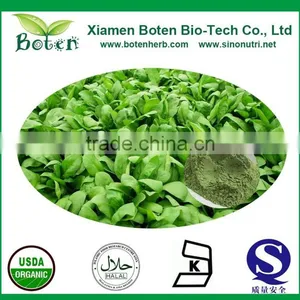 Boten Natural Spinach Powder thumbnail-1