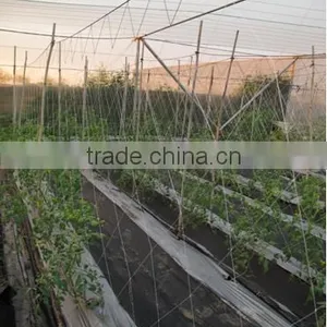 Plant Support Net/ Plant Climbing Net thumbnail-5