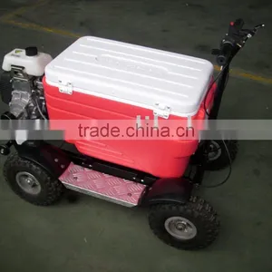 MINI Cooler Scooter(SX-G110) thumbnail-1