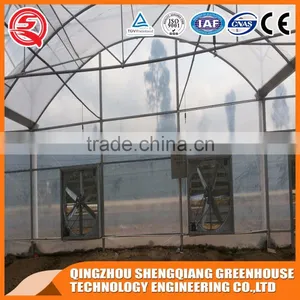 Plastic Film Greenhouse for Vegetables Planting,flowers,culture thumbnail-6