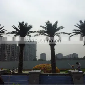 Hot Sale Artificial Palm Tree With New Design and Real Touch,indoor or Outdoor thumbnail-4