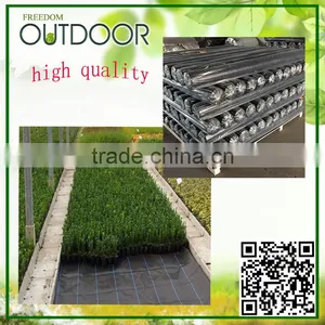 High Quality Black Plastic Ground Cover Roll thumbnail-1