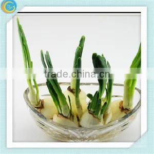 Crystal Flower Vase for Home Decoration thumbnail-1