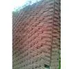Yellow Sandstone Wall-NSL009 thumbnail-1