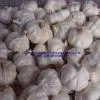 Pure White Garlic / Normal White Garlic / Fresh Garlic thumbnail-1
